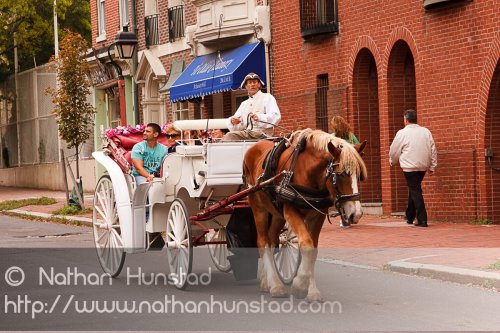 A carriage in the Old City in Philadelphia